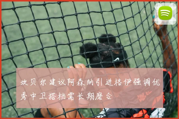 坎贝尔建议阿森纳引进格伊强调优秀中卫搭档需长期磨合
